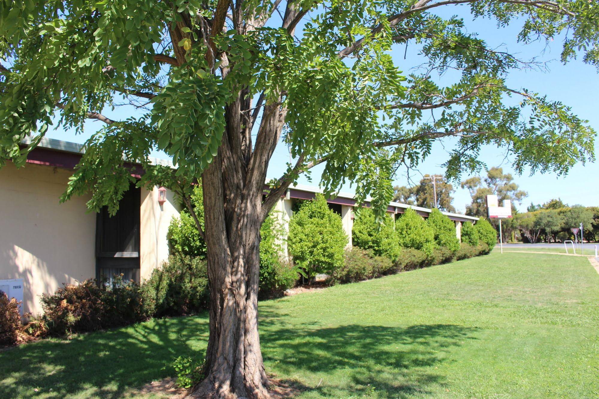 Cobram Colonial Motor Inn