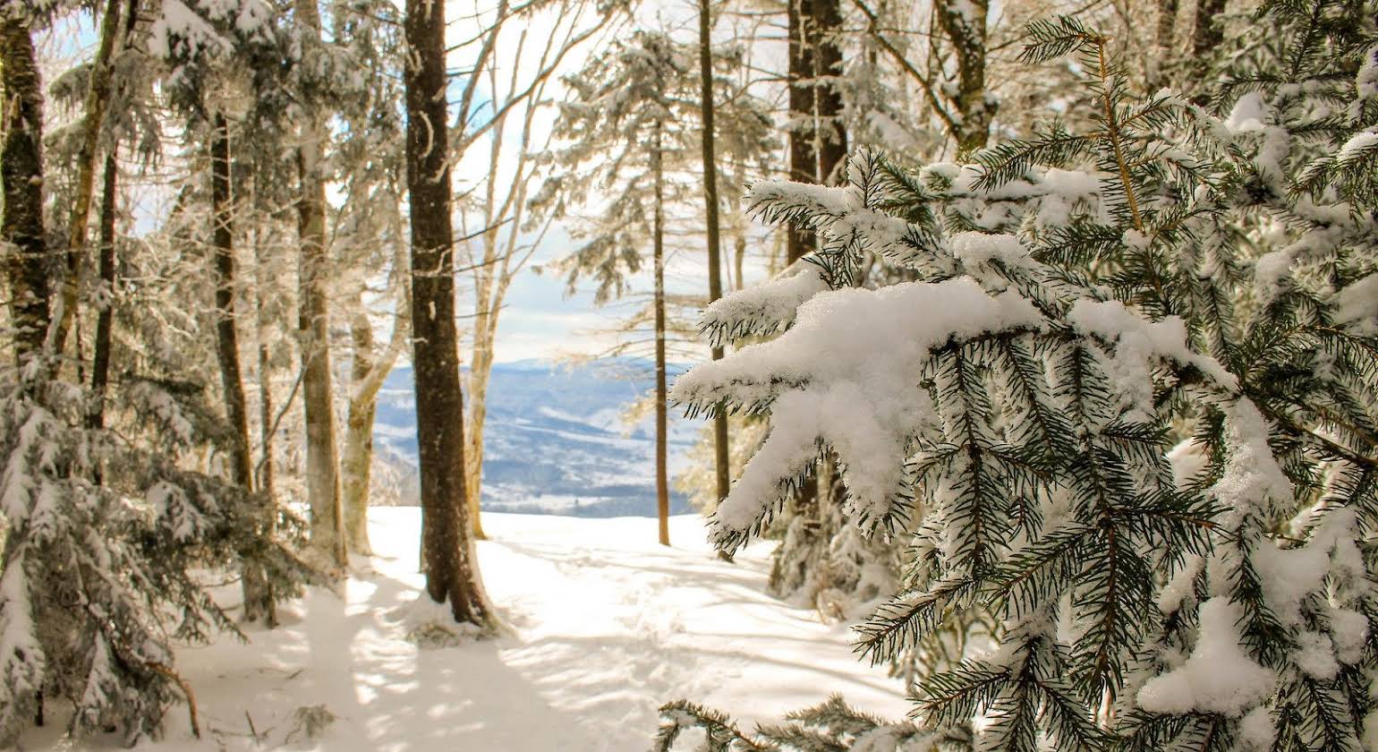 Canaan Valley Resort and Conference Center Davis