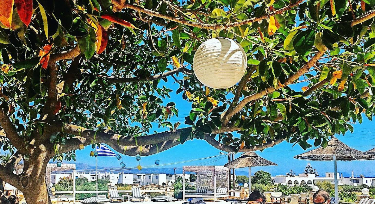 Margarita Studios Paros