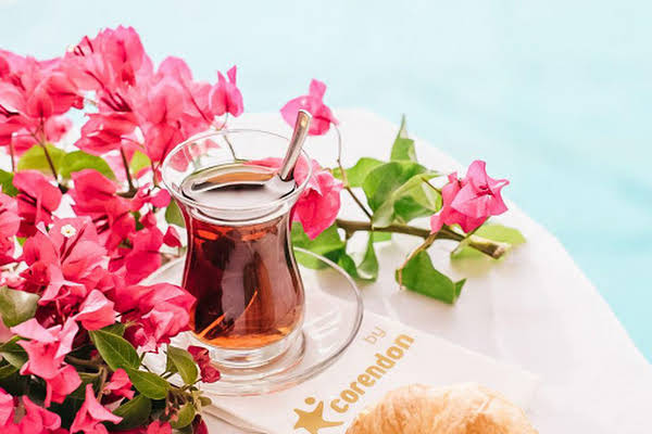 Grand Park Bodrum Turgutreis Tatil Com Grand Park Bodrum Turgutreis Tatil Com